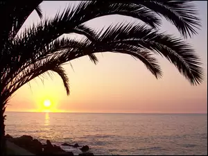 Zachod, Palma, Słońca, Ocean