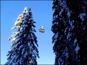 Drzewa, Linowa, Śnieg, Kolejka