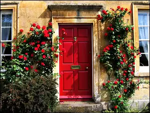 Dom, Róże, Czerwone, Drzwi