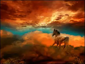 Koń, Słońca, Chmury, Zachód