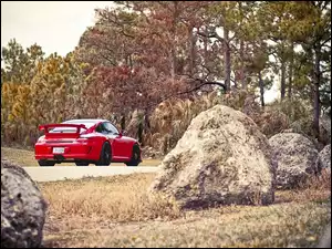 Kamienie, Czerwone, 911, Porsche, Drzewa