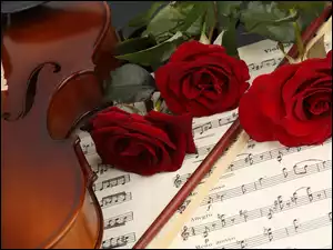 Róże, Skrzypce, Muzyczny, Instrument, Nuty