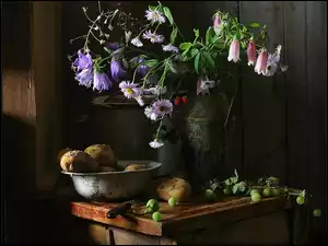Agrest, Polne, Kwiaty, Ziemniaki