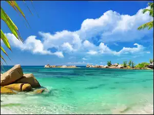 Palmy, Morze, Plaża