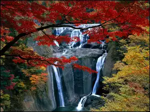 Wodospad, Jesień, Skały, Drzewa