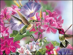 Art, Kolorowe, Dwa, Kwiaty, Kolibry