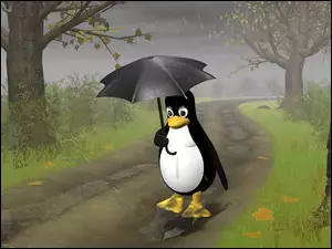 Pingwin, Linux, Parasol, Droga