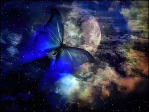 Niebo, Motyl, Księżyc