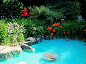 Woda, Ogród, Kwiaty