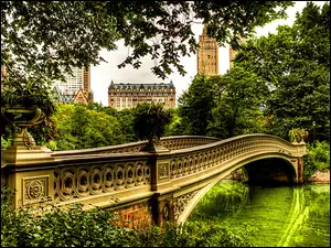 Central Park, Most