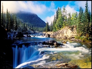 Kanada, Wodospad, Drzewa, Rzeka, Alberta