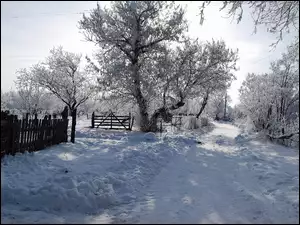 Śnieg, Stare, Droga, Ogrodzenia, Drzewa