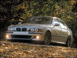 E39, BMW Seria M, BMW 5