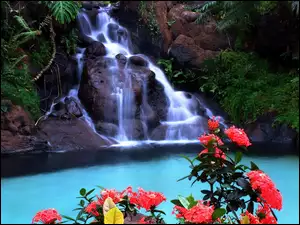 Wodospad, Drzewa, Woda, Kwiaty