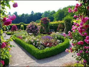 Różany, Piękny, Ogród