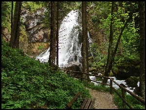 Ścieżka, Las, Wodospad