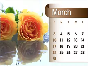 Kalendarz, 2013r, Róże, Marzec