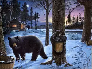 Chatka, Ptaszek, Zima, Drzewa, Śnieg, Niedźwiedzie