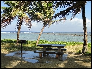 Palmy, Morze, Park