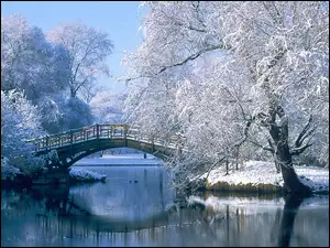 Rzeka, Zima, Most, Drzewa