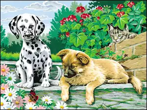 Kwiaty, Dwa, Dalmatyńczyk, Psy, Kot