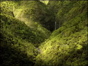 Hawaje, Wodospad, Las, Góry, Kauai