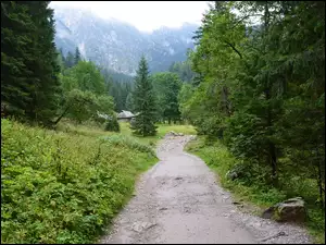Góry, Ścieżka