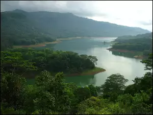 Jezioro, Sri Lanka, Góry, Drzewa