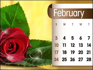 Kalendarz, 2013r, Róża, Luty