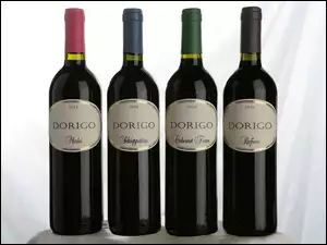 Wino, Dorigo