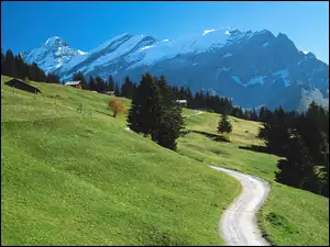 Szwajcaria, Góry