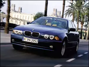 Niebieski, BMW E 39