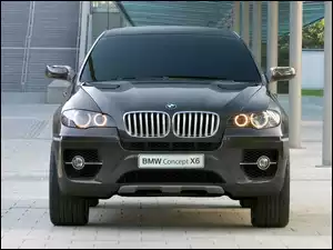 Czarne, Concept, BMW, X6