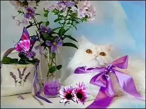 Fioletowa, Kwiaty, Biały, Obraz, Kot, Kokarda