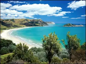 Nowa Zelandia, Morze, Wysepka, Plaża, Roślinność