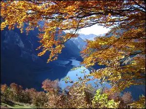 Szwajcaria, Jezioro, Gałęzie, Góry, Glarus