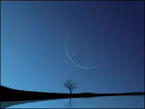 Woda, Drzewo, Niebo, Księżyc