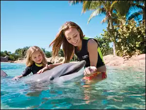 Delfin, Kobieta, Dziecko