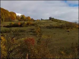 Jesień, Drzewa, Pola, Łąki
