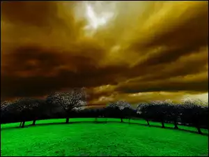 Trawa, Chmury, Drzewa