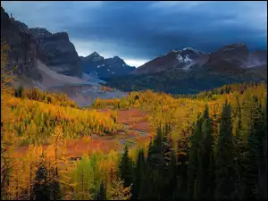 Góry, Jesień, Lasy, Rzeka