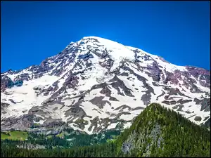 Wulkan, Lasy, Mount Rainier, Góra