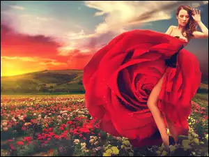 Zachód Słońca, Kobieta, Róże