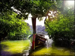 Tajlandia, Łódź, Dżungla, Woda