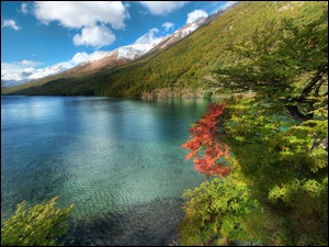 Jezioro, Argentyna, Góry, Drzewa