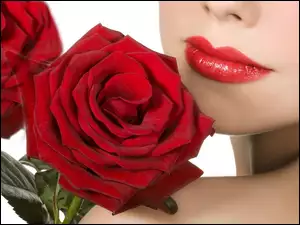 Kobieta, Róże, Usta, Czerwone