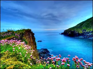 Kwiatki, Morze, Wybrzeże