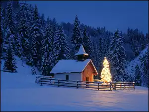 Boże Narodzenie, Zima, Las, Dom, Choinka