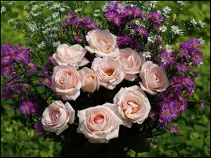 Kwiatki, Róże, Fioletowe