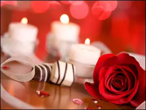 Świece, Walentynki, Róża